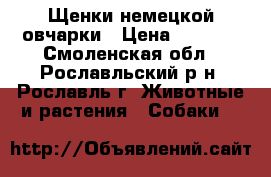 Щенки немецкой овчарки › Цена ­ 5 000 - Смоленская обл., Рославльский р-н, Рославль г. Животные и растения » Собаки   